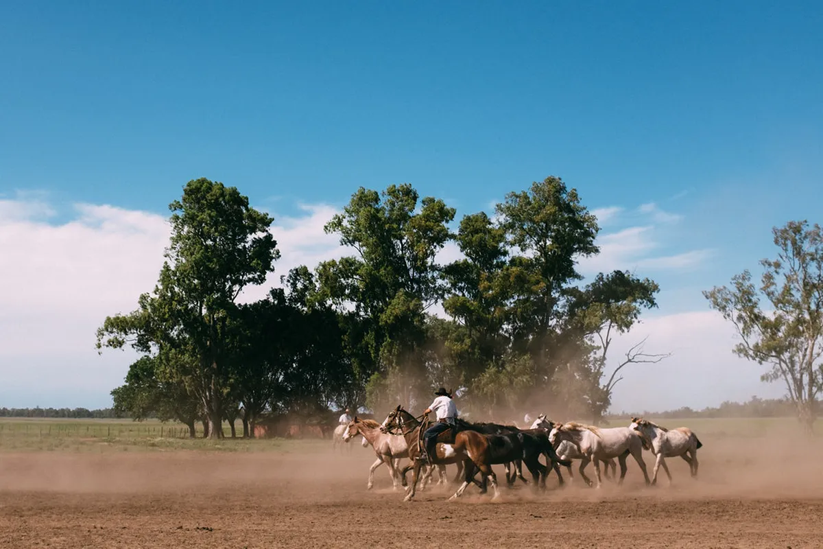 Santa Susana Ranch Tour Review: Is It Worth It in 2026?