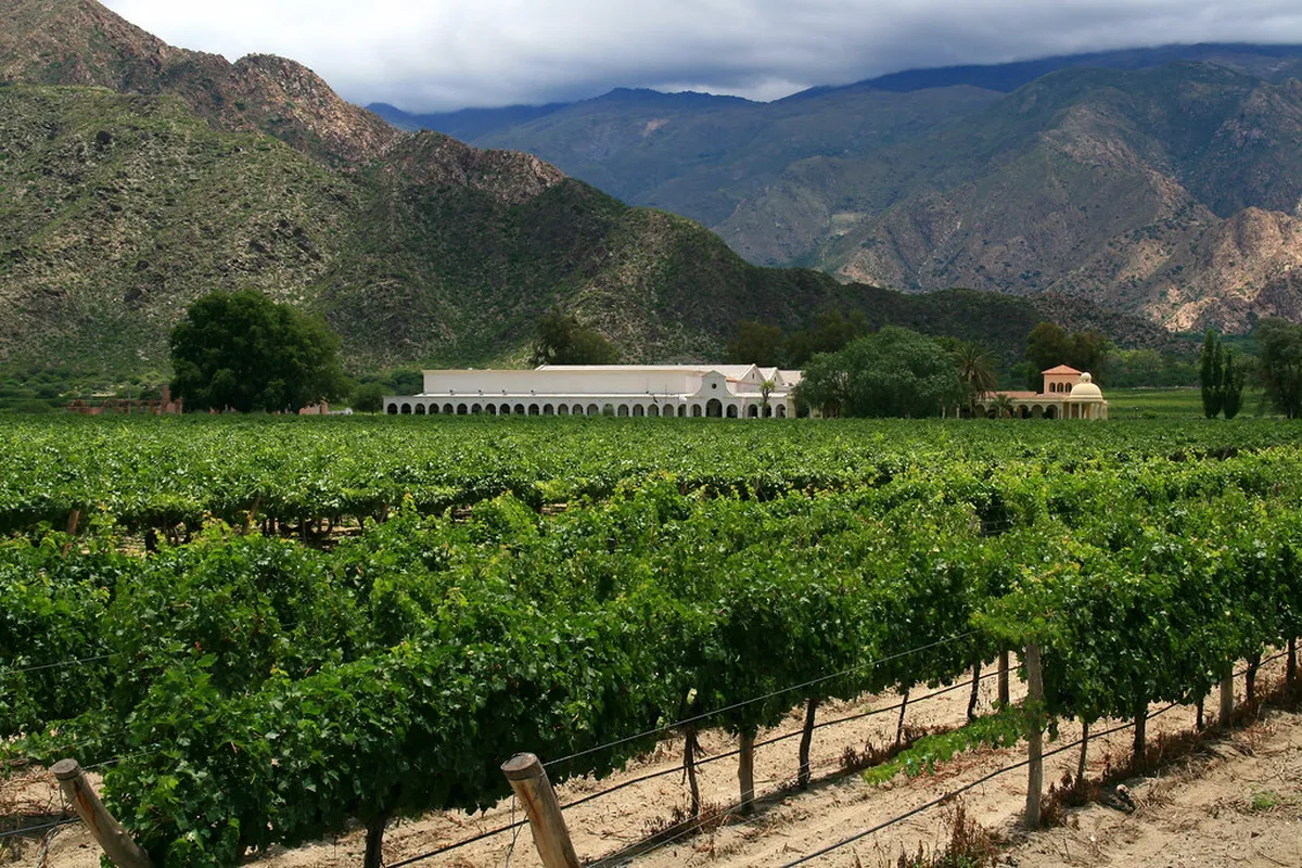 10 Best Cafayate Winery Tours & Bodegas to Visit
