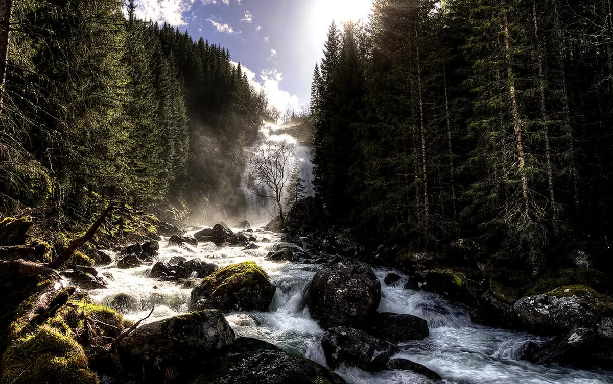 Finding the Waterfall Hike in La Cumbrecita Forest: Top 10