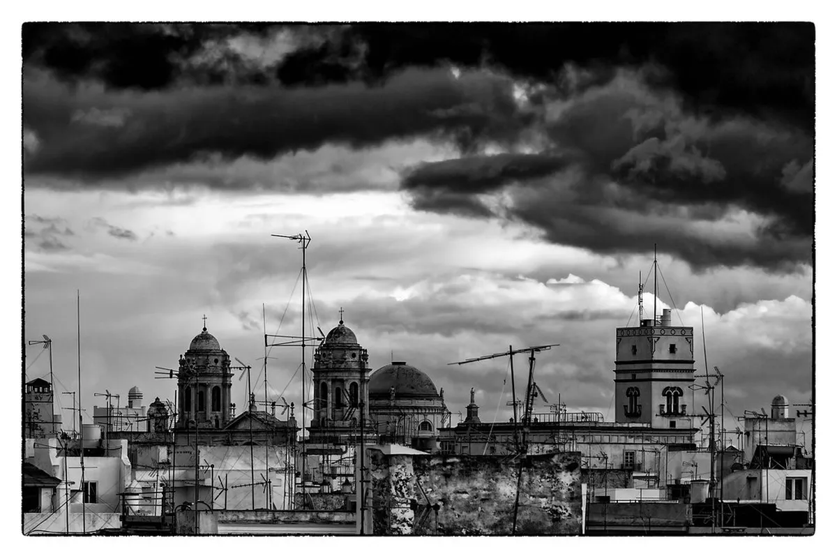 11 Best Stops for a Bosque de Peralta Ramos Tour