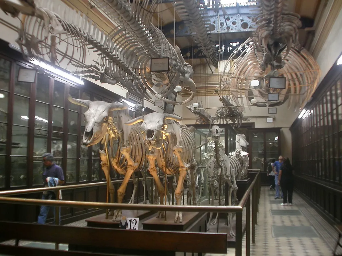 How to Visit Luján de Cuyo Wineries from Mendoza