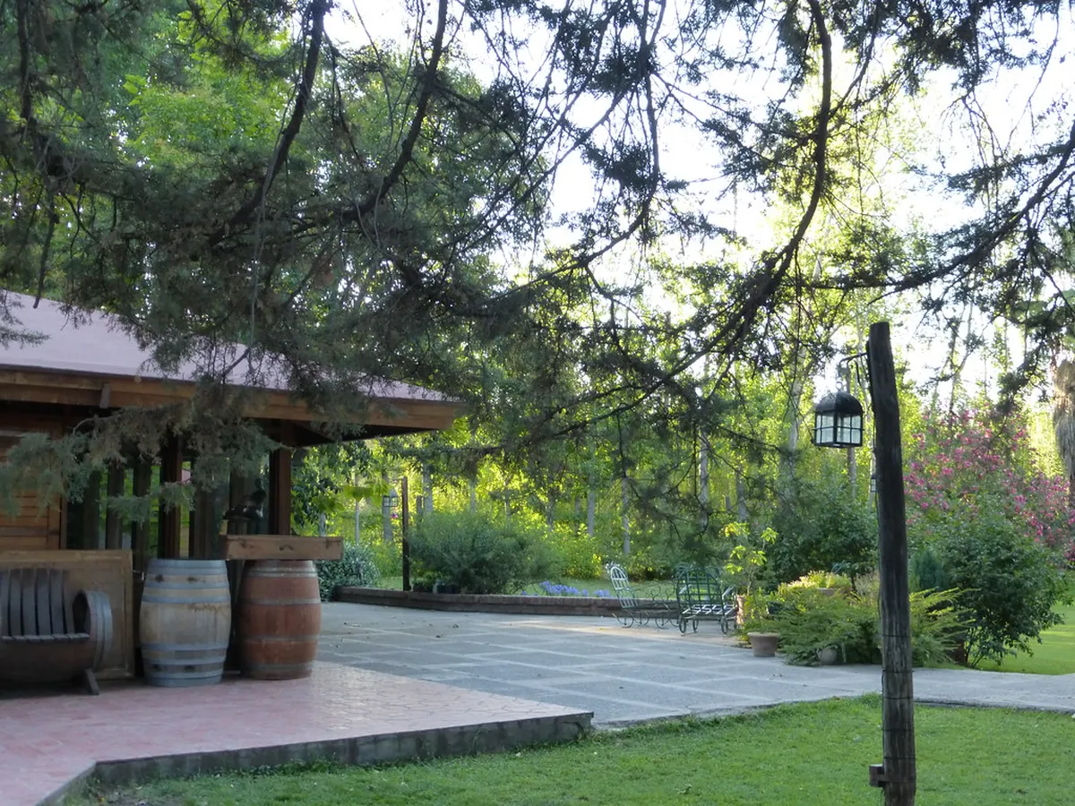Luján de Cuyo Wineries Guide: 11 Best Stops in Mendoza