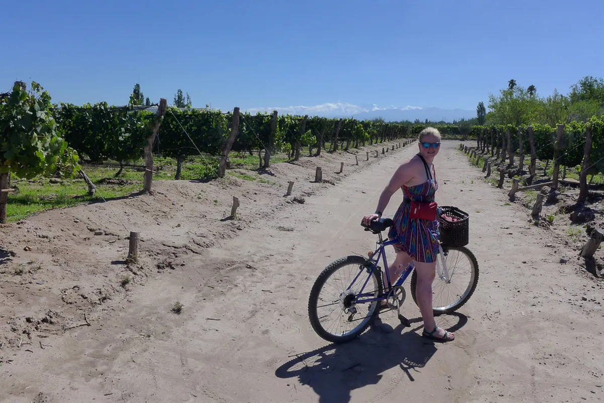 Maipú Bike and Wine Tours: Top 11 Stops in Mendoza