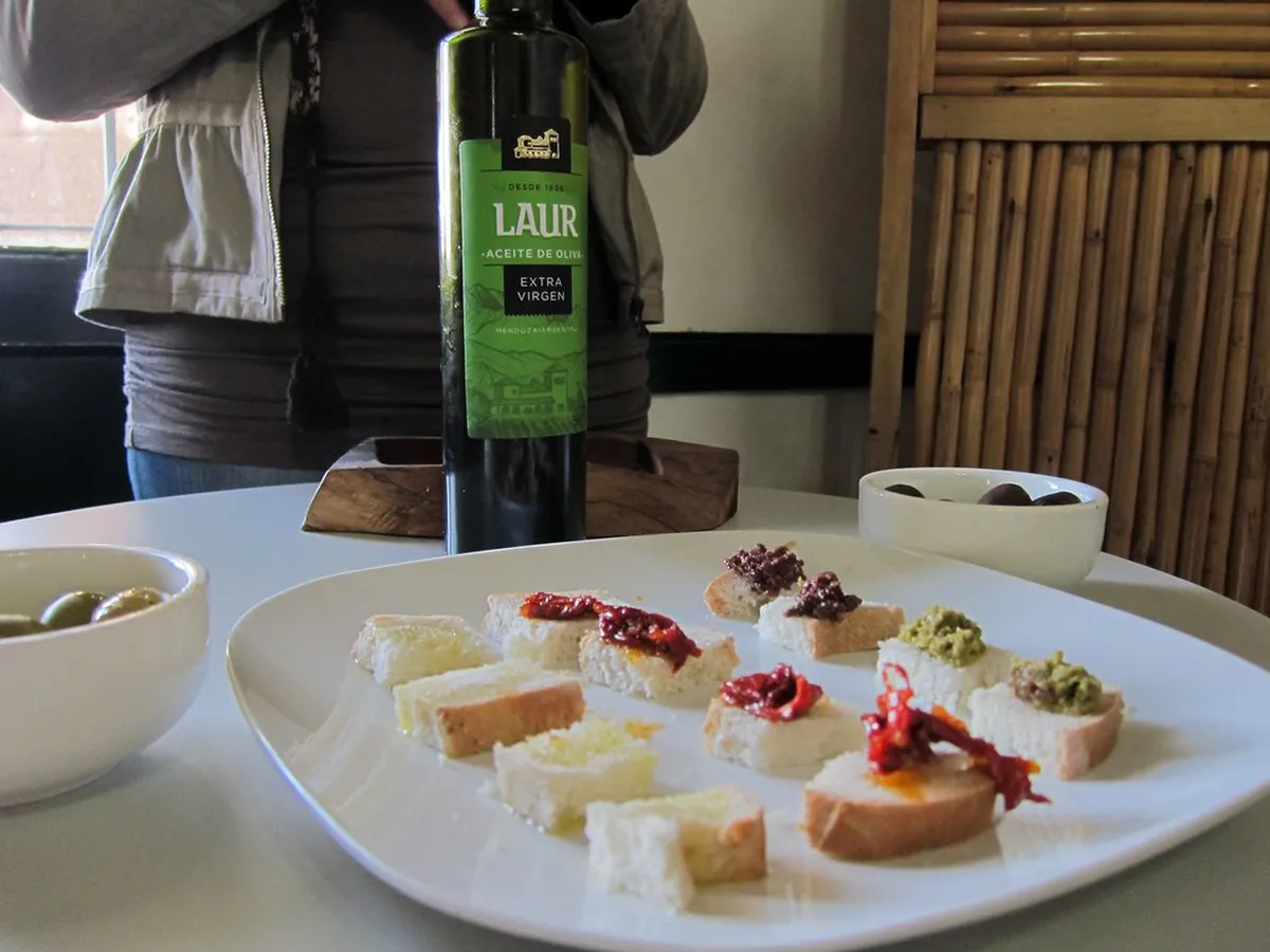 Top 10 Mendoza Olive Oil Tasting Spots to Visit in 2026