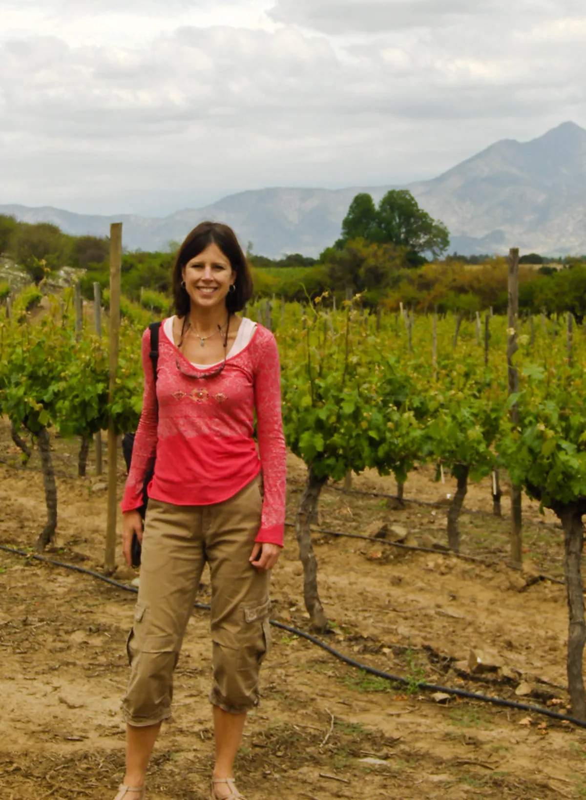 3-Day Uco Valley Wine Tours 2026 Itinerary