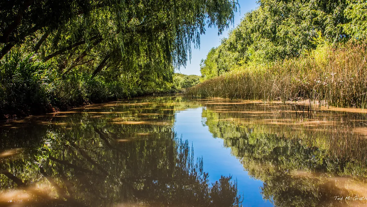 11 Best Paraná Delta Boat Tours in Rosario (2026 Guide)
