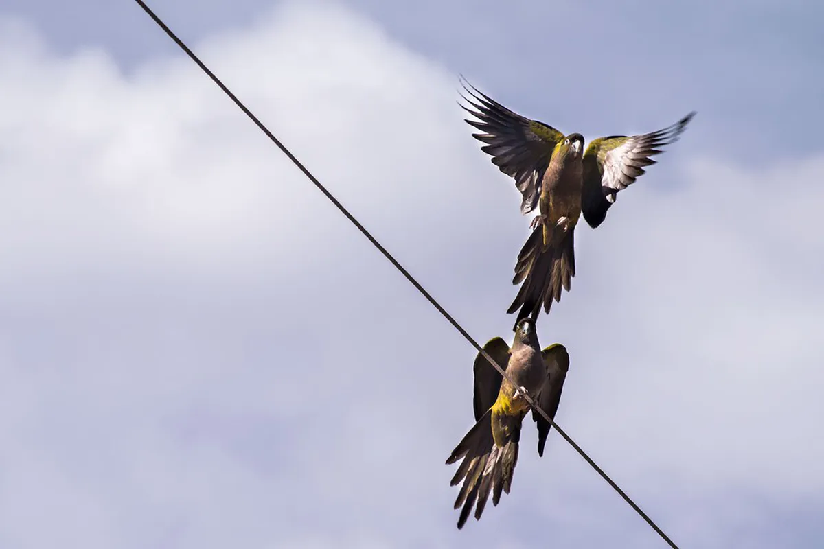 4 Best Salta Scenic Drive Routes: A Complete 4-Day Itinerary