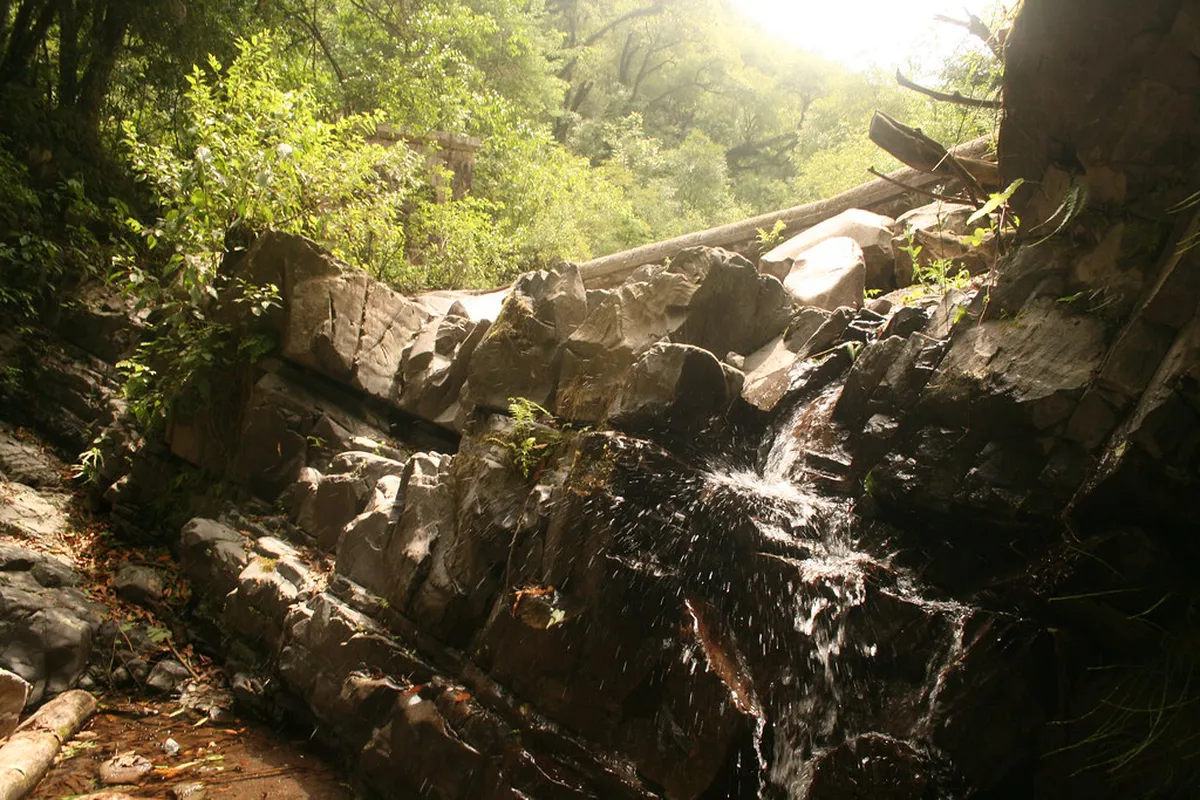 11 Best San Lorenzo Salta Activities for Your 2026 Trip