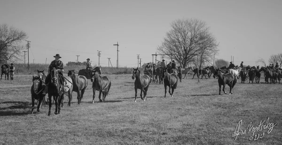 Gaucho Tradition Festival Guide 2026: San Antonio de Areco