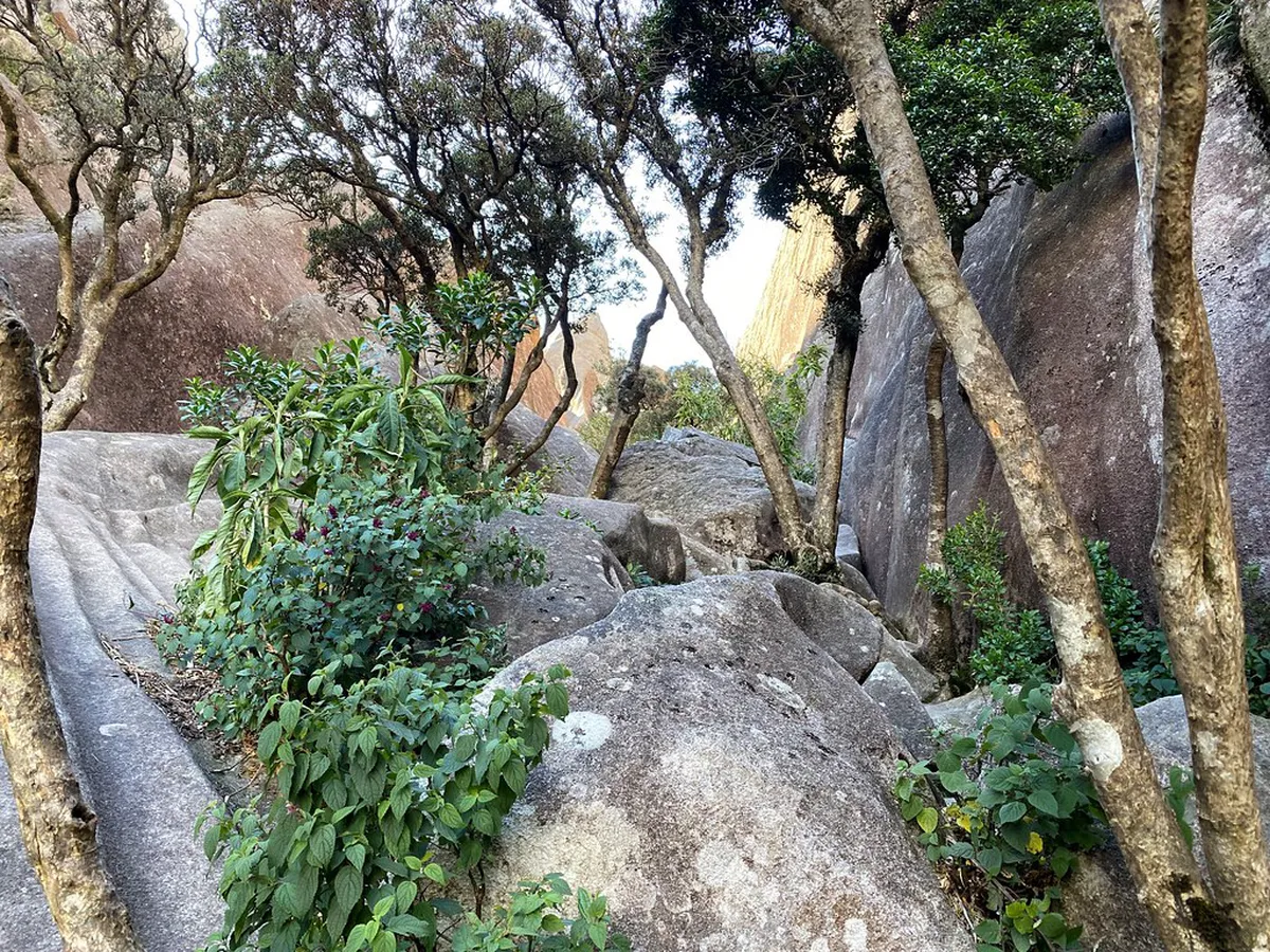 Ultimate Paraná City Day Trip Itinerary (2026 Guide)