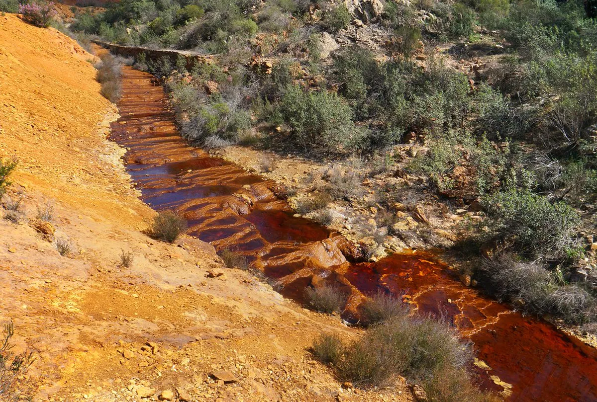 River Activities in Santa Fe: 10 Best Water Experiences