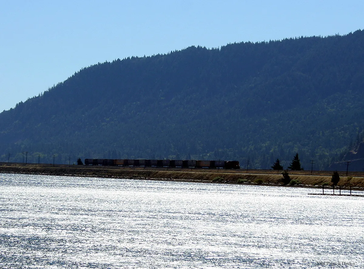 9 Best Santa Fe River Cruise & Attraction Picks (2026)