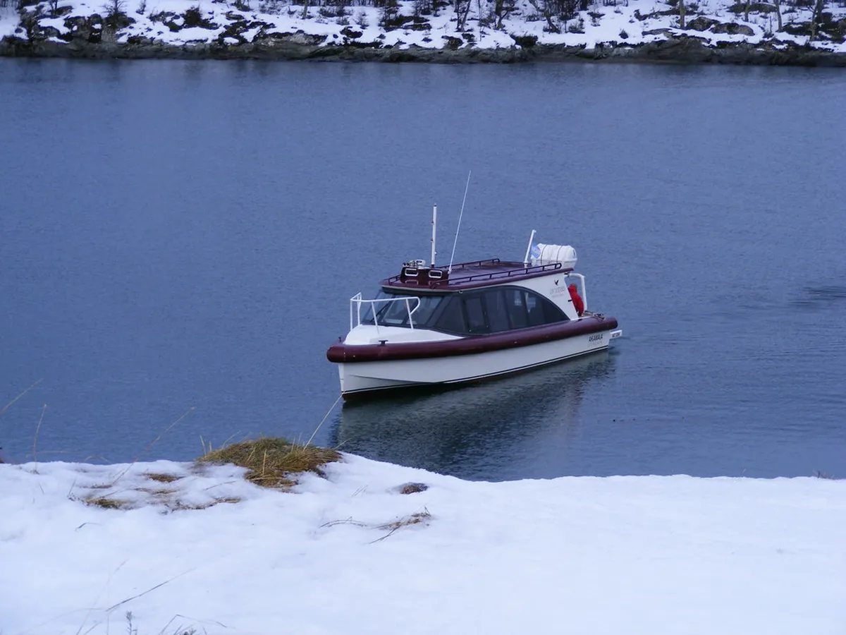 Best Beagle Channel Boat Tours: Comparison of Ushuaia Cruises