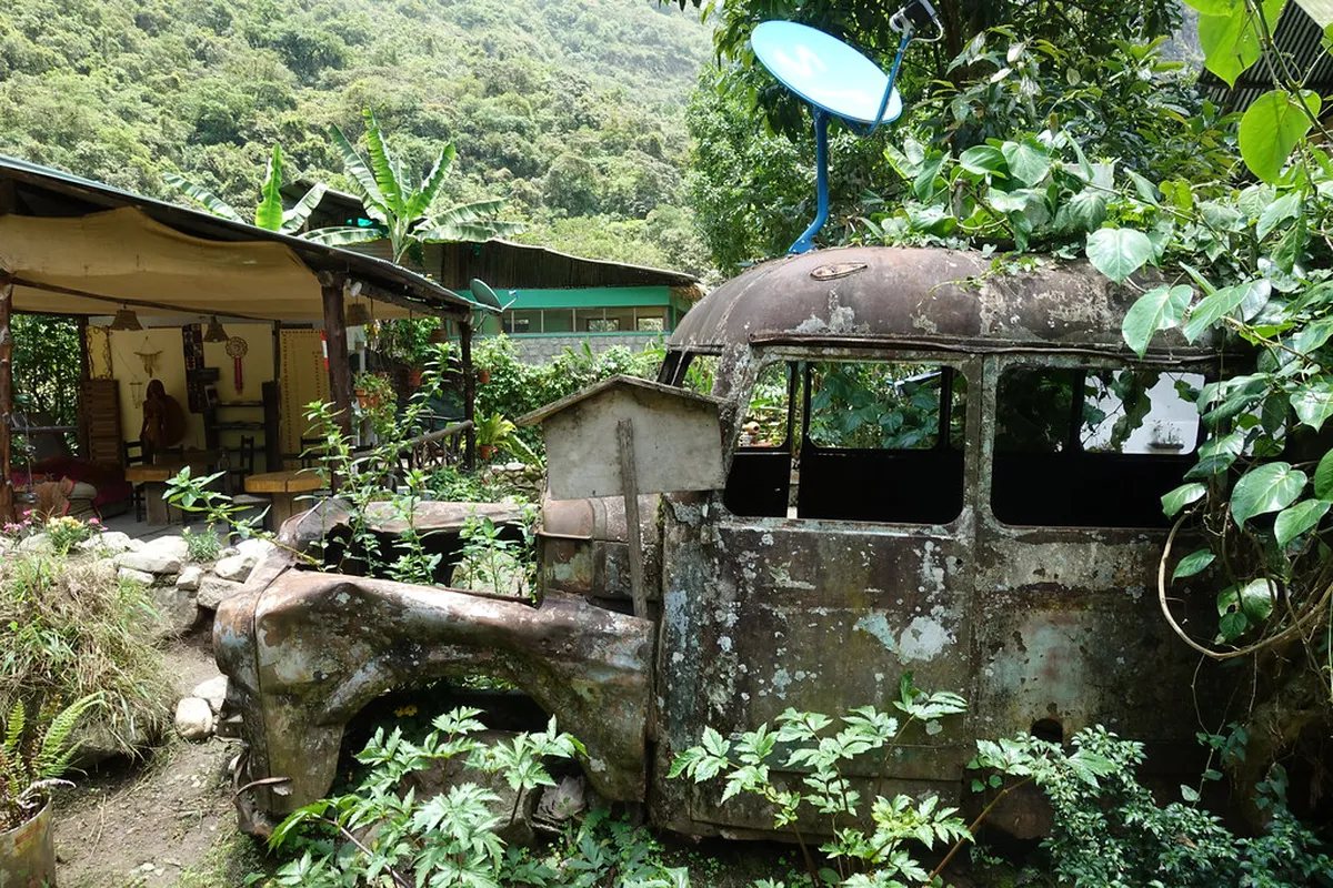Visit the Butterfly House Aguas Calientes: A Top 10 Guide