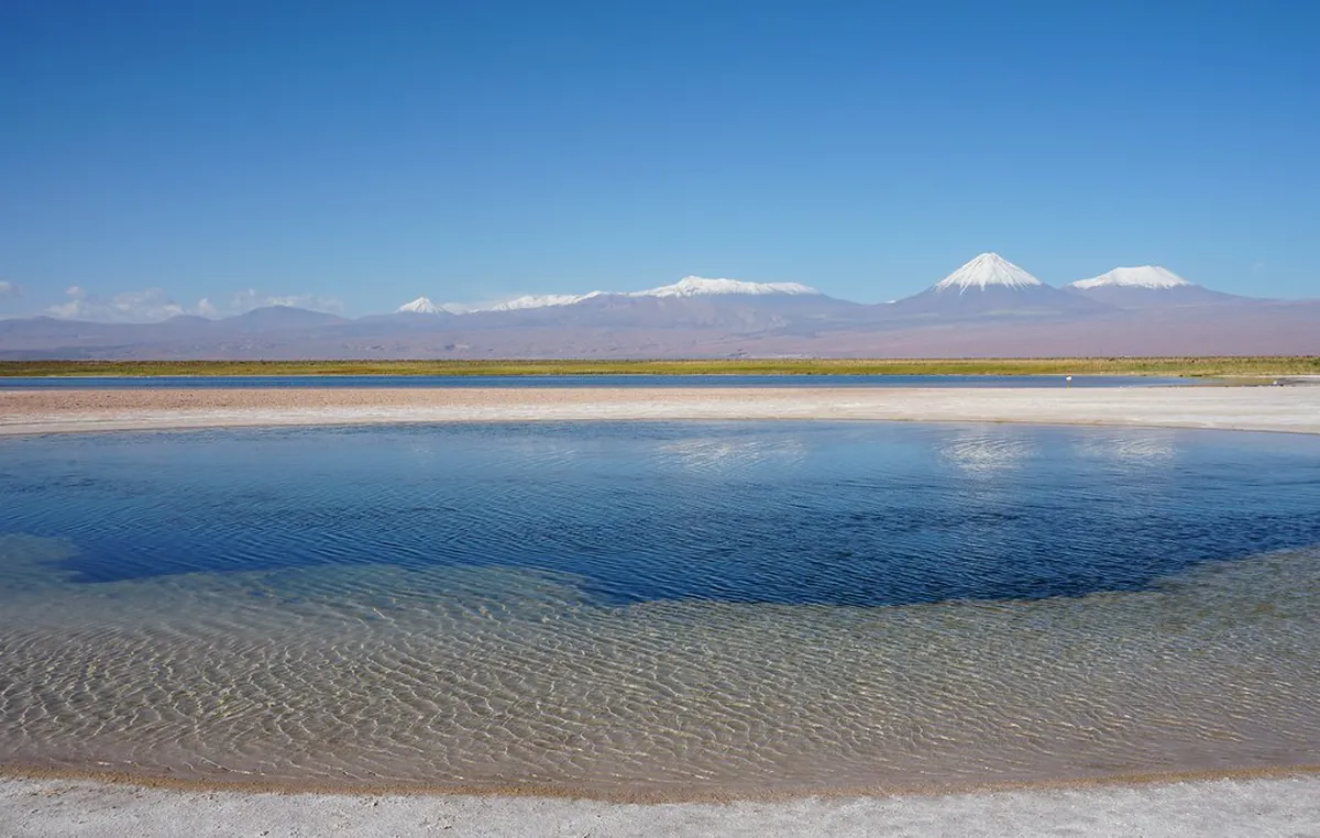 10 Best Things to See on a Salinas Lagoon Tour Arequipa