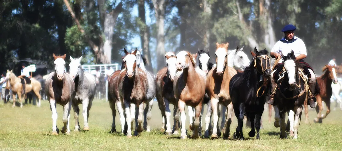 Is Pampa de Ayacucho Worth Visiting 2026? Honest Review