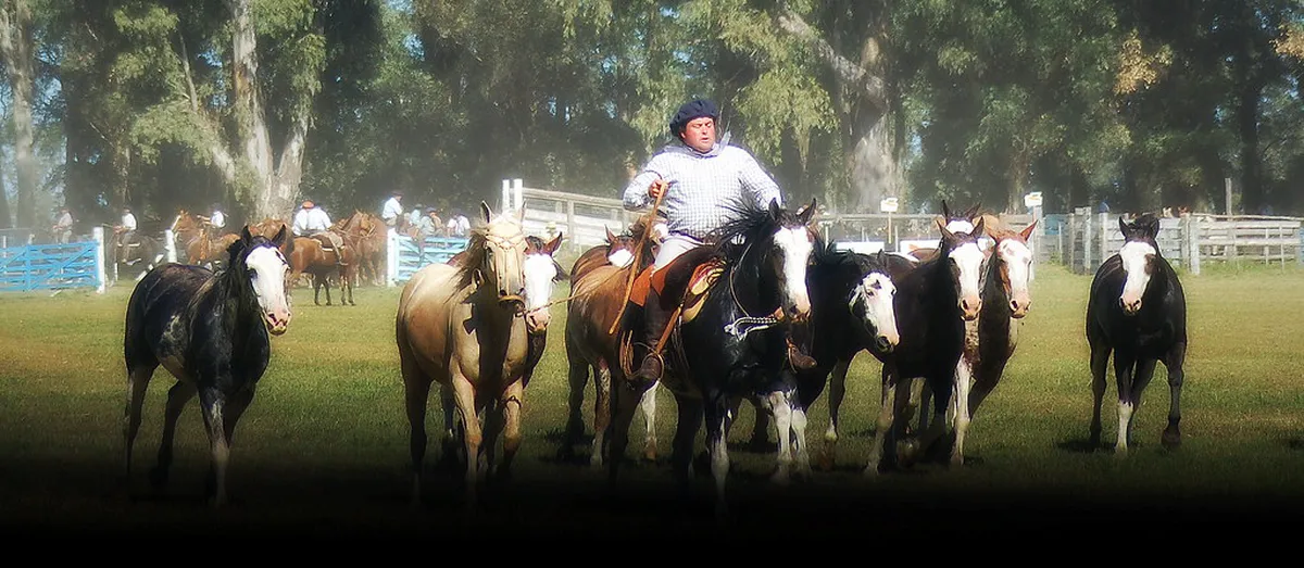 Visit Pampa de Ayacucho Historic Sanctuary: 9 Top Sights