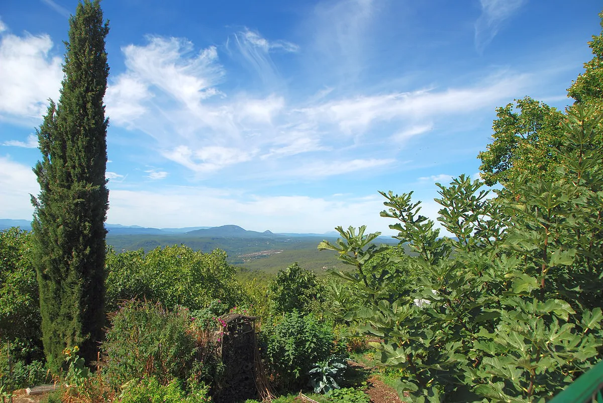 Best Time to Visit Pastoruri Glacier: A Seasonal Guide