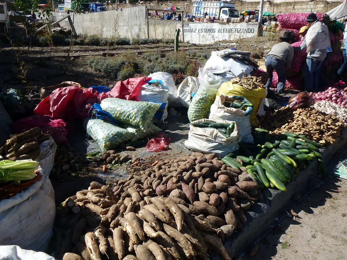 Climbing Nevado Pisco for Beginners: A 2026 Guide
