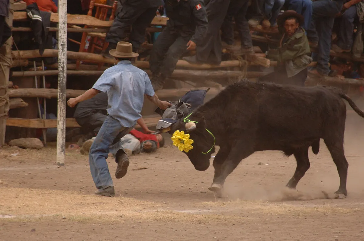 How to Get to Chavin de Huantar: Full Guide