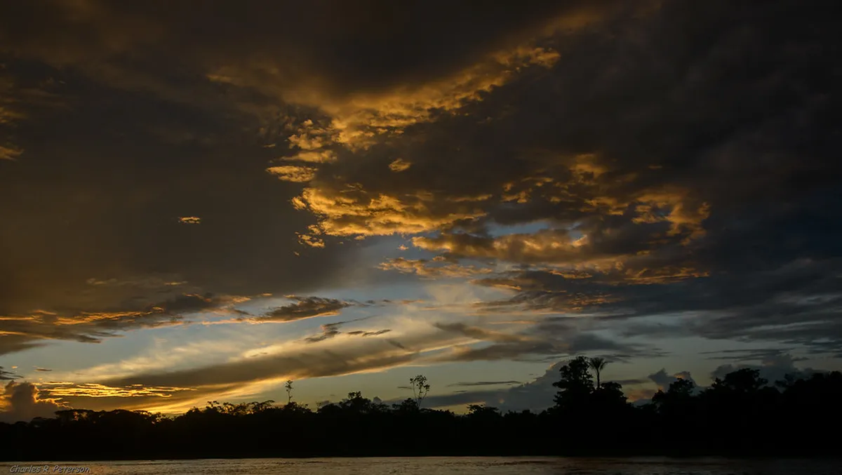 Top 10 Amazon River Boat Tours Iquitos: 2026 Insider Guide