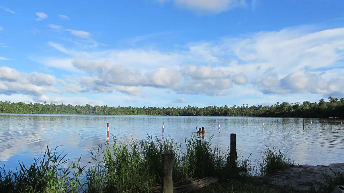 Quistococha Lake and Zoo Guide: 10 Best Things to Do