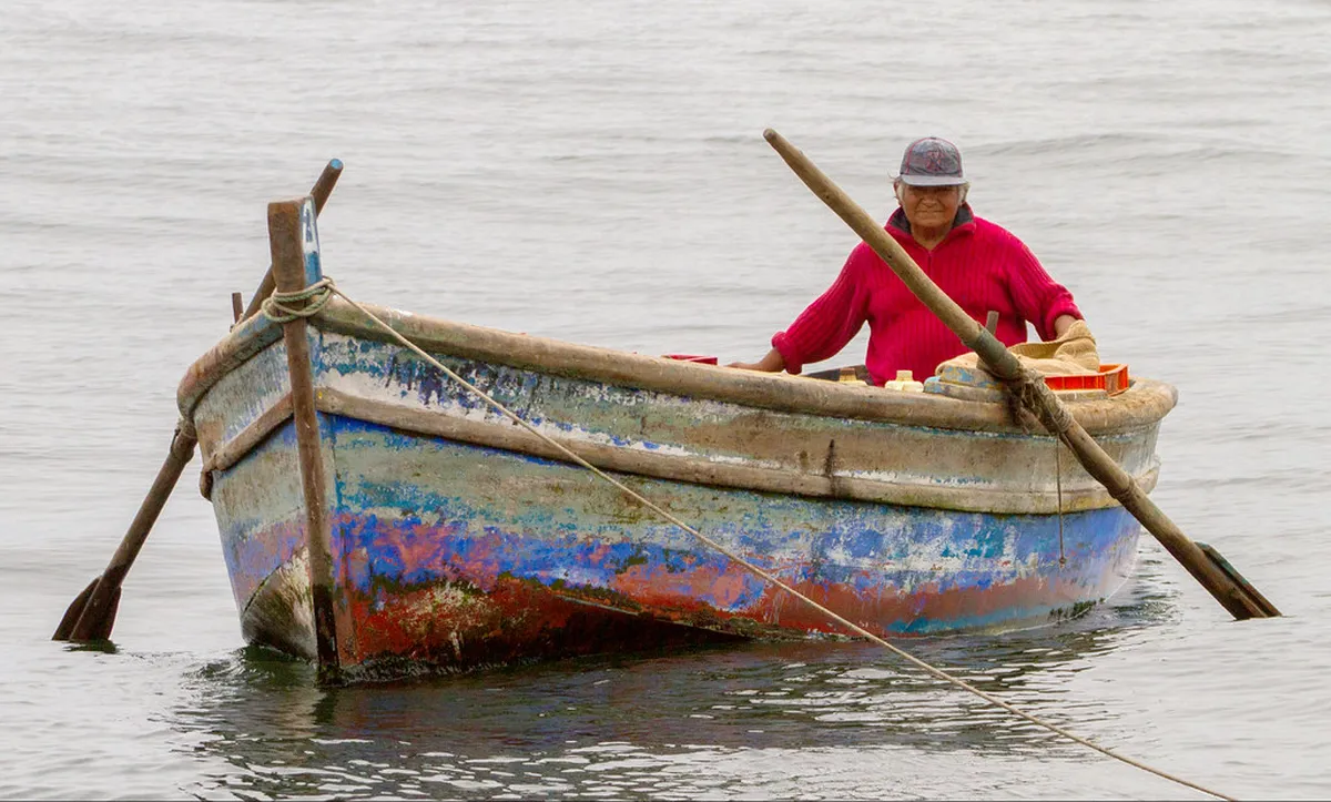 Is the Palomino Islands Boat Tour Lima Worth It?
