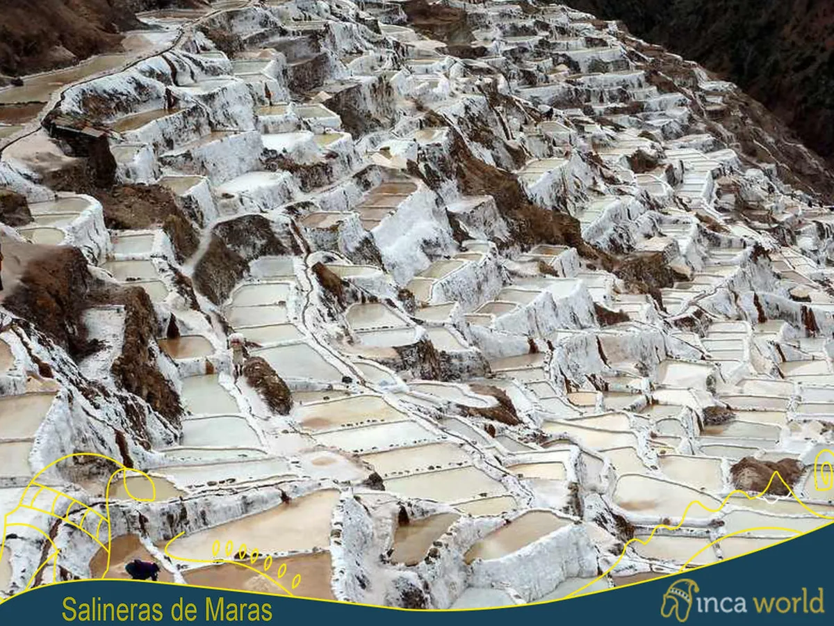 10 Ultimate Maras and Moray Tours from Ollantaytambo (2026)