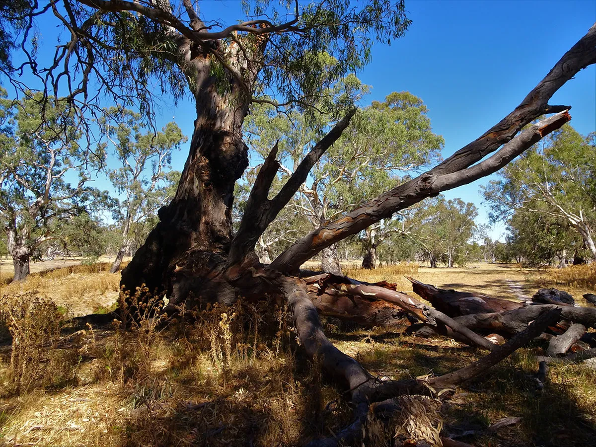 2026 Cost of Private Boat Hire Puerto Maldonado Guide