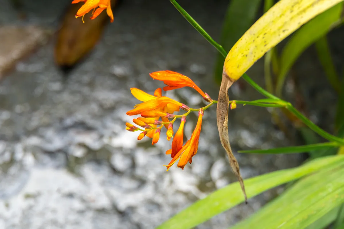 12 Best Things to Do: Inkaterra Butterfly House Visit (2026)