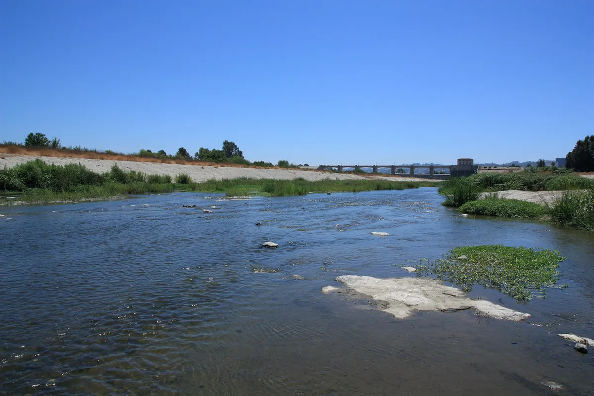 Lake Sandoval Tour Guide: 10 Best Jungle Experiences