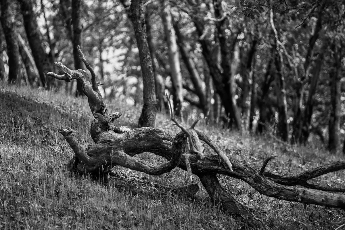 What to See in Lampa Pink City: 9 Must-Visit Sights