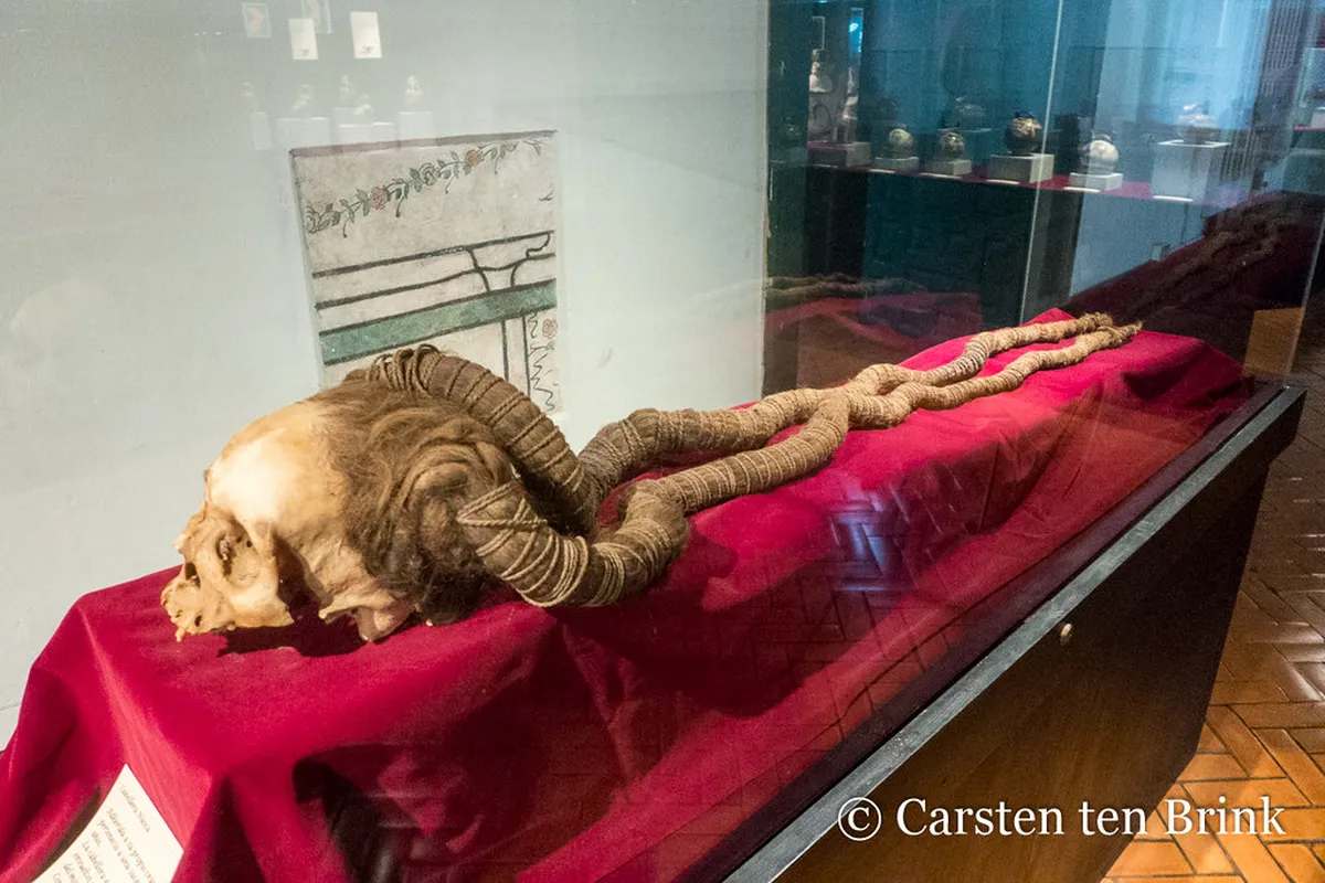 Guide to the Museo de Arqueología de Trujillo (2026)