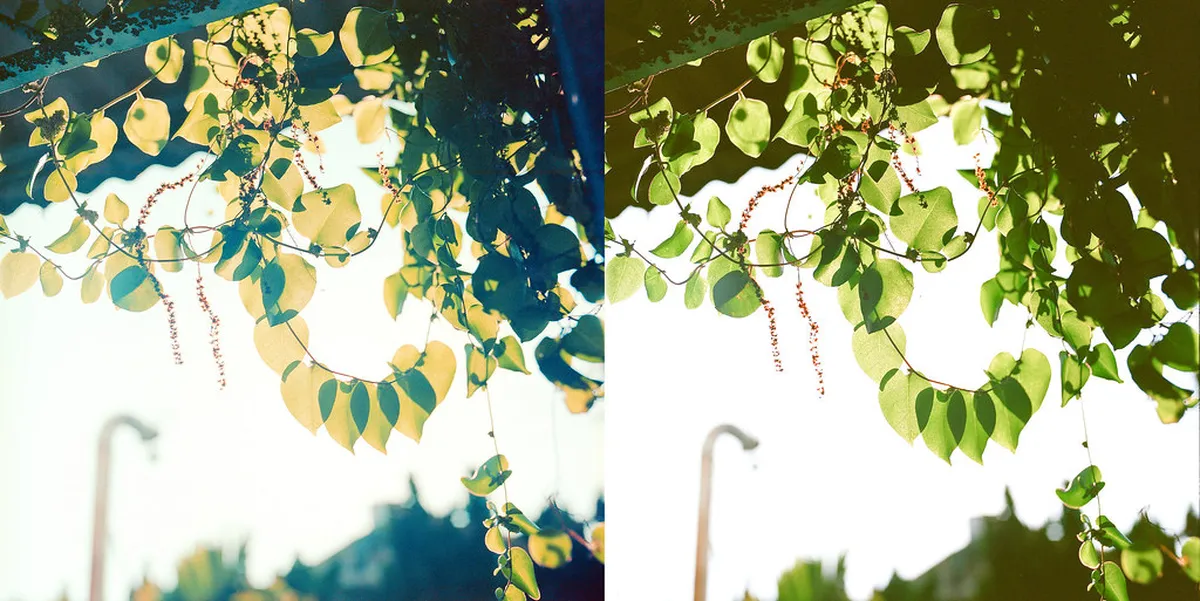 Comparing Buquebus versus Colonia Express Ferry Tickets Guide