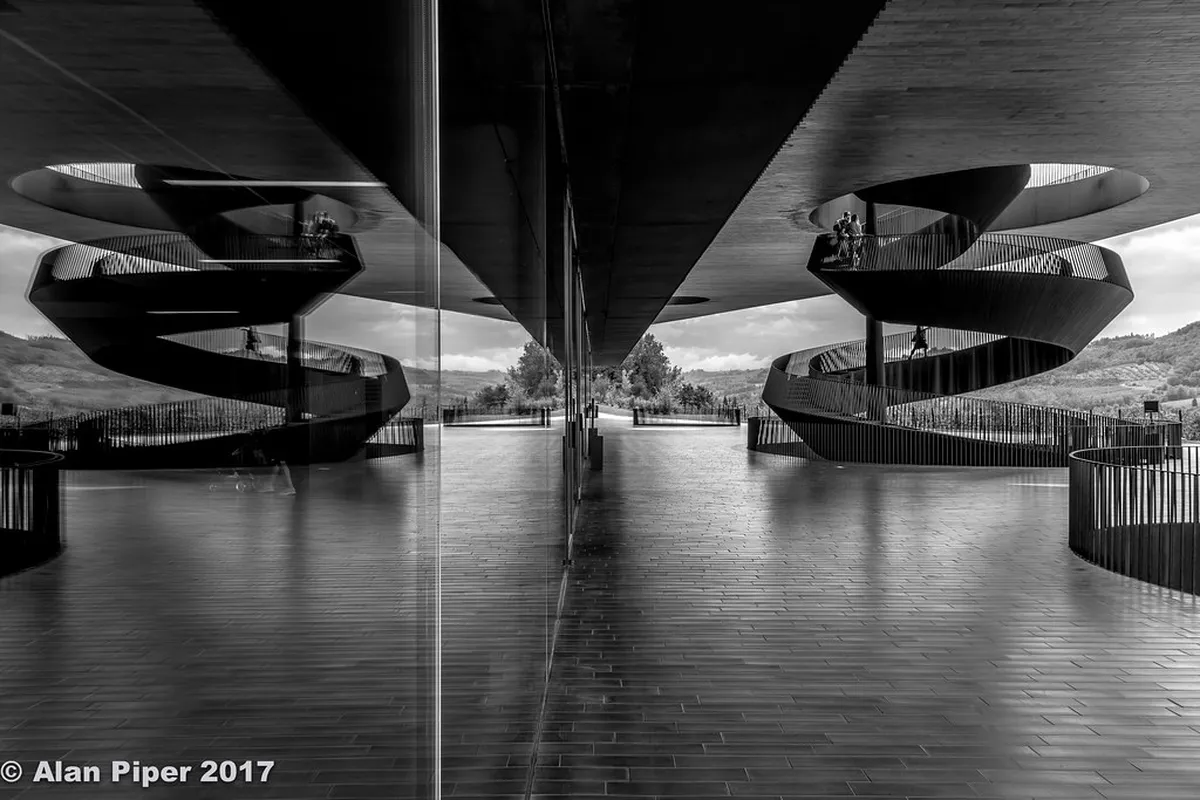 Book the Best Wine Tasting Tours in Canelones