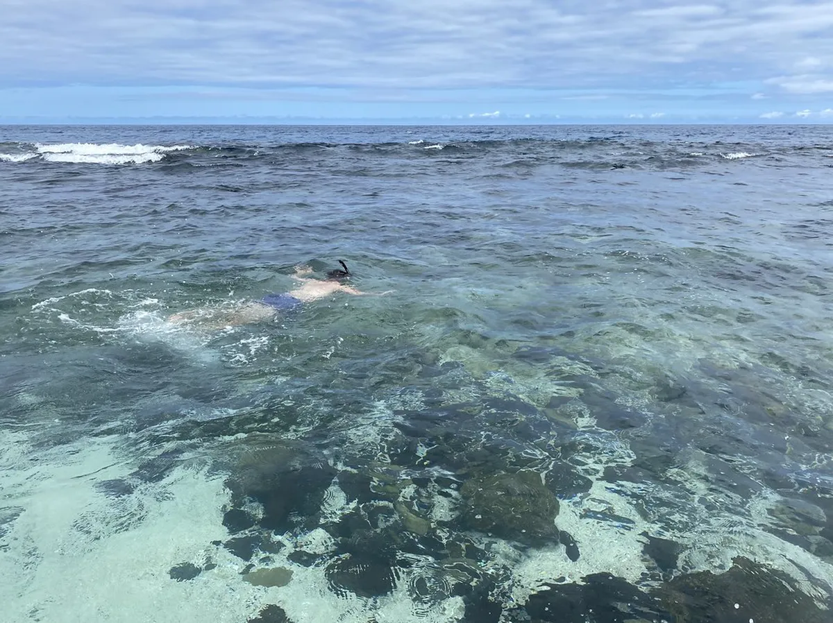 How to See Sea Lions at Isla de Lobos: Complete Guide