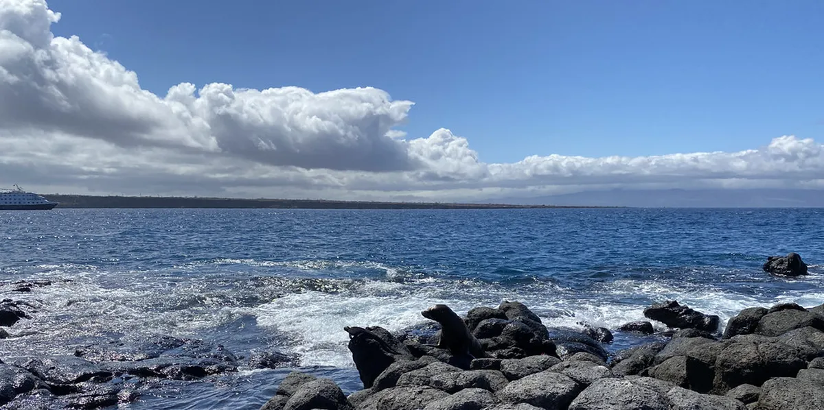 Top 10 Isla de Lobos Boat Tours in Punta del Este