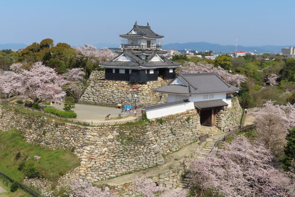 1. Hamamatsu Tourist Attraction: Act City Observation Deck 1. Hamamatsu Tourist Attraction: Act City Observation Deck