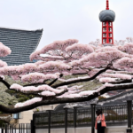 10 Famous Landmarks in Tokyo You Must Visit