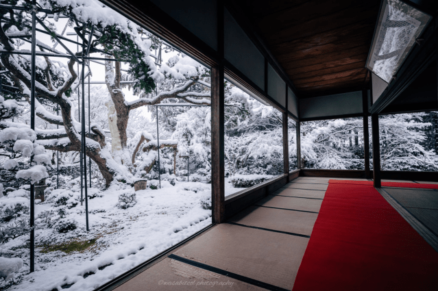 2. Arashiyama Bamboo Grove: A Frosty Forest Adventure