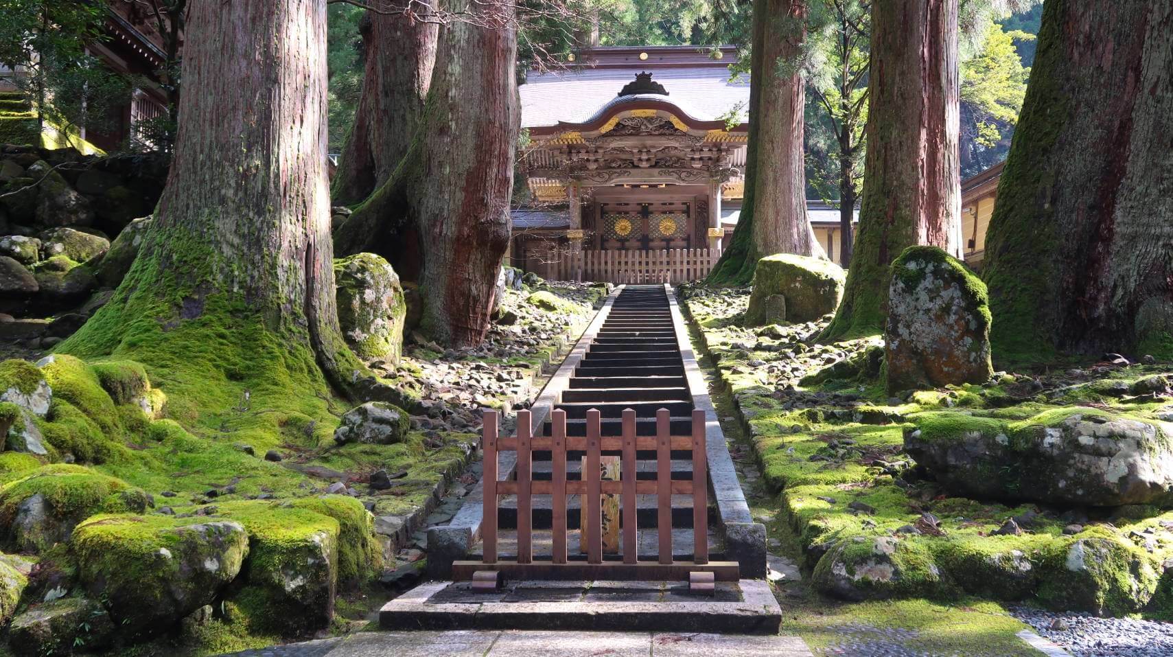 3. Fukui Dinosaur Museum: Journey Through Prehistoric Times