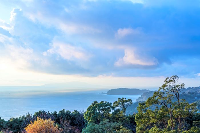 4. Local Cuisine: Must-Try Dishes on Your Odawara Day Trip