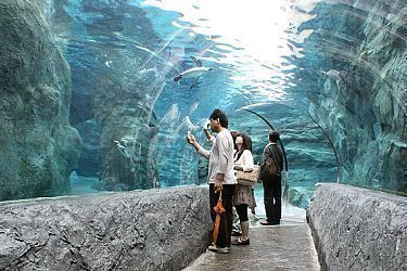 8. Asahiyama Zoo: Unique Wildlife Encounters 8. Asahiyama Zoo: Unique Wildlife Encounters