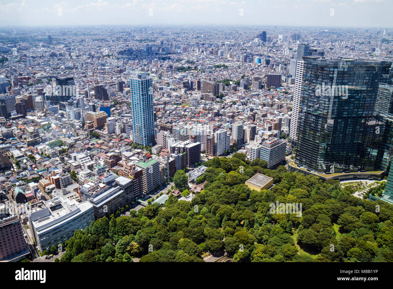 8. Comparing the Tokyo Metropolitan Government Building Observation Deck to Other Viewpoints 8. Comparing the Tokyo Metropolitan Government Building Observation Deck to Other Viewpoints