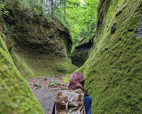 9. Northern Horse Park: Equestrian Fun for All Ages 9. Northern Horse Park: Equestrian Fun for All Ages