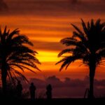 japan allowing individual tourists