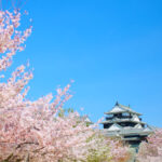 matsuyama sightseeing