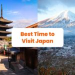 tourist travel japan 2024